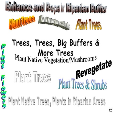 State of the Rivers - Recommendations Summary