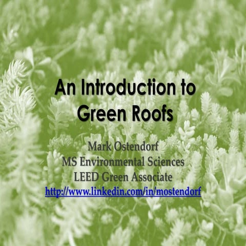 Intro to Green Roofs for Educators