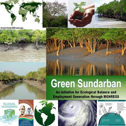 The sundarbans | PPTX