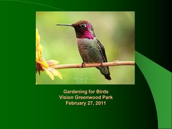 Gardening for Birds: Vision Greenwood Park Presentation
