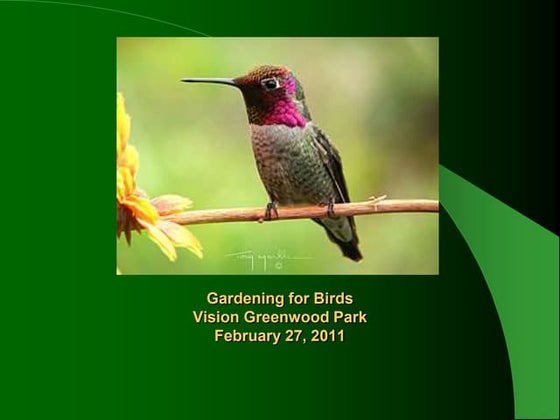 Gardening for Birds: Vision Greenwood Park Presentation