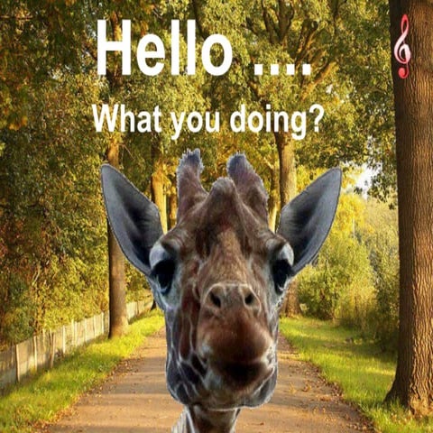 Greetings- and hello | PDF