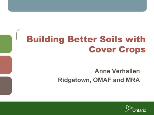 Building Better Soils with Cover Crops