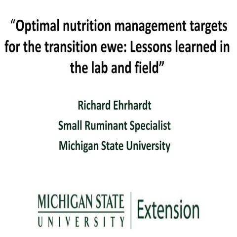 Optimal nutrition management targets for the transition ewe: Lessons learned ...