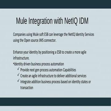 Grey tower and NetIQ - Identity Manager Integration with MuleSoft ESB