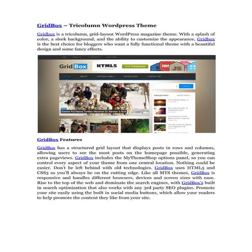 Simpleton lightweight & minimalist wordpress theme | PDF