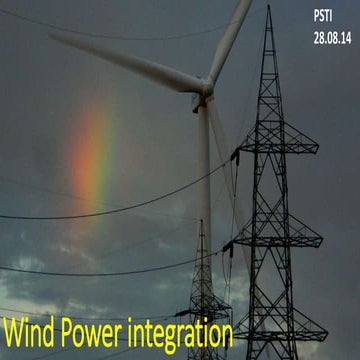 Grid integration of the Wind Turbine Generator