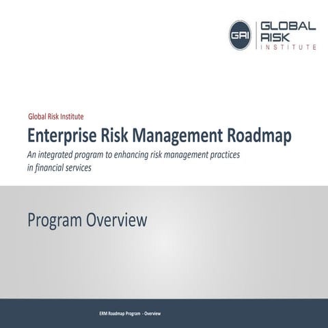 GRI ERM Roadmap - Program Overview