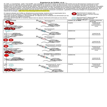 Experimento de Griffith