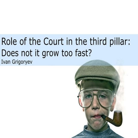Role of the Court in the third pillar: Does not it grow too fast?