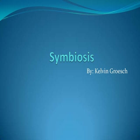 Groesch symbiosis by kelvin groesch 3.4.11