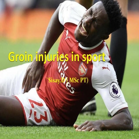 groin injuries.pdf