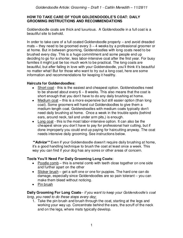 How To Take Care Of Your Goldendoodle S Coat Daily Grooming Instruct