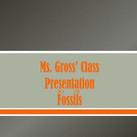 Ms. Gross's Class Fossil Presentation