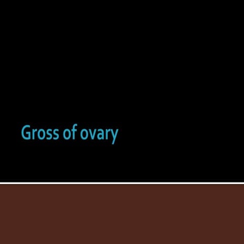 Grossing procedure for ovary
