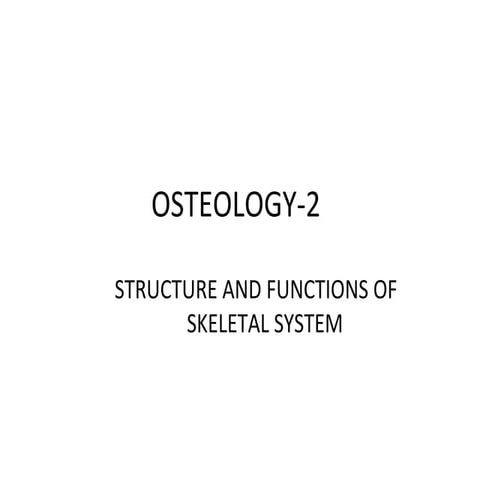Gross structure of adult long bone