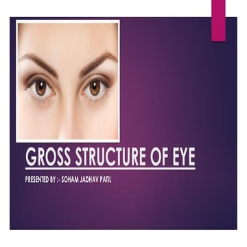 Gross structure of eye.pdf.               .