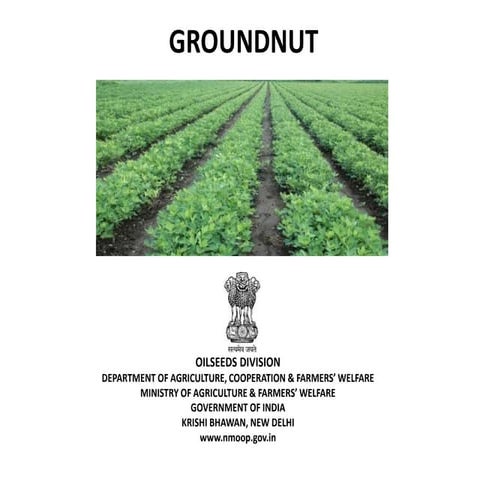 Groundnut_28-03-2017.pptx