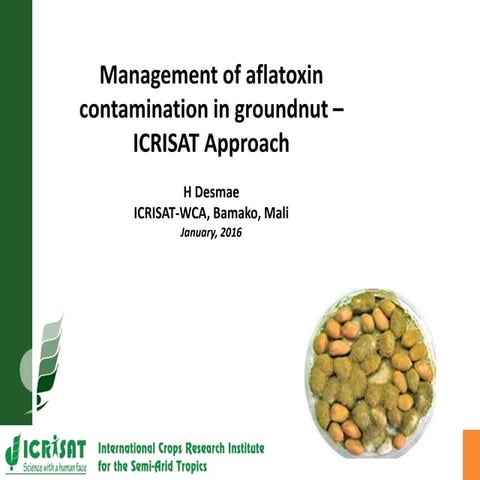 Management of aflatoxin contamination in groundnut – ICRISAT Approach