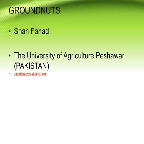 Groundnuts