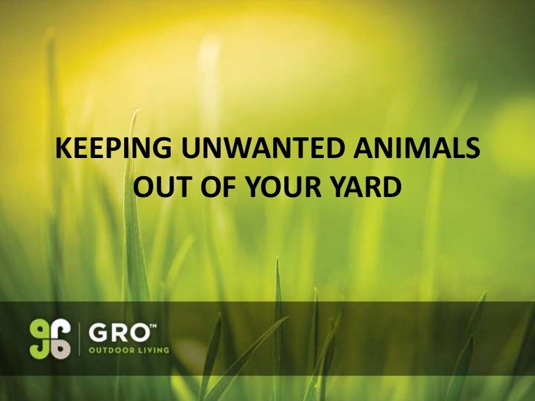 Keeping Unwanted Animals Out of Your Yard GRO Outdoor Living