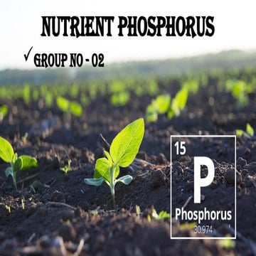 Phosphorous Deficiency in plants final.pptx