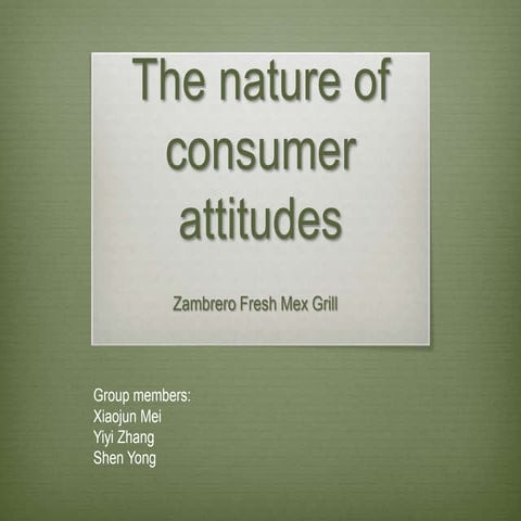 consumer behavior presentation