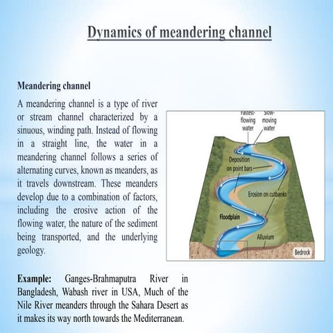 Channel dynamics of meandering, straight and braided rivers.pdf
