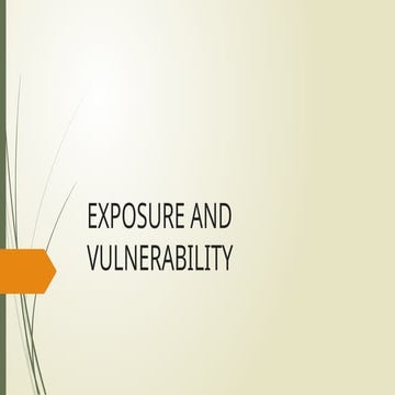 group-2-vulnebility and exposure-report.pptx