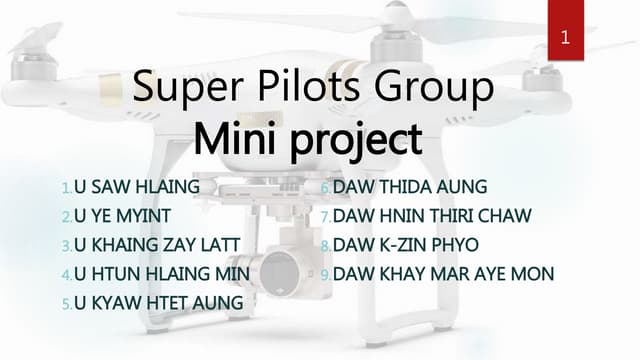 Super Pilot Team Mini project