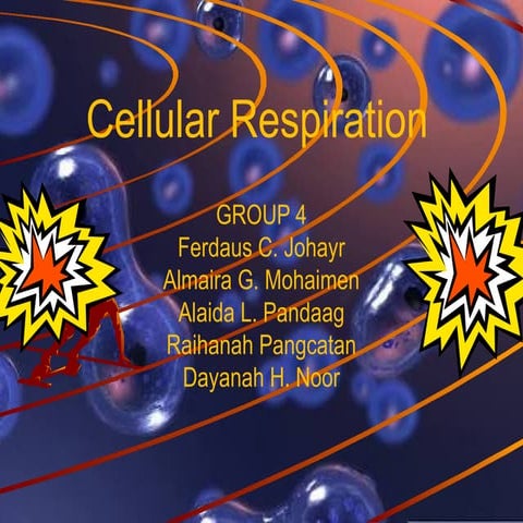 Cellular Respiration | PPT