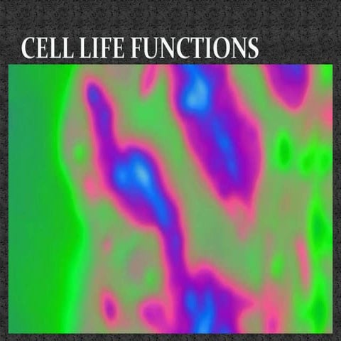 Cells, Photosynthesis, Genes, Reproduction, Genetic Engineering, Genetically ...