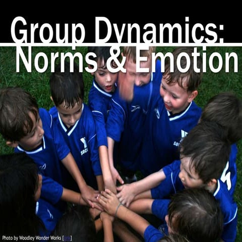 Group Dynamics: Norms and Emotion