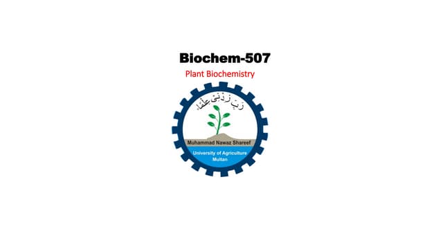 Conversion of nitrogen into ammonia and other nitrogenous compounds Pathways ...