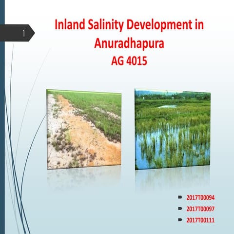 Inland Salinity Development in A'pura.pdf