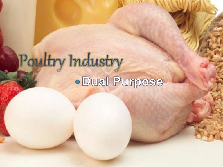 poultry industry