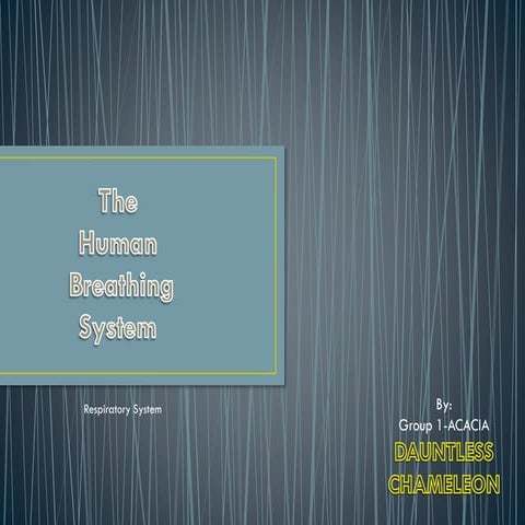 Group 1.science. breathing system