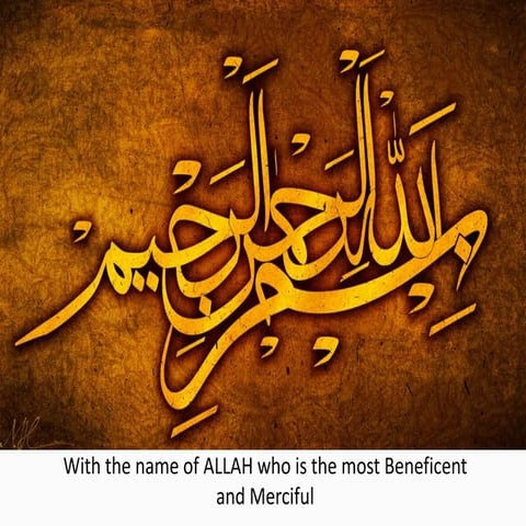 Computer Scientific Applications