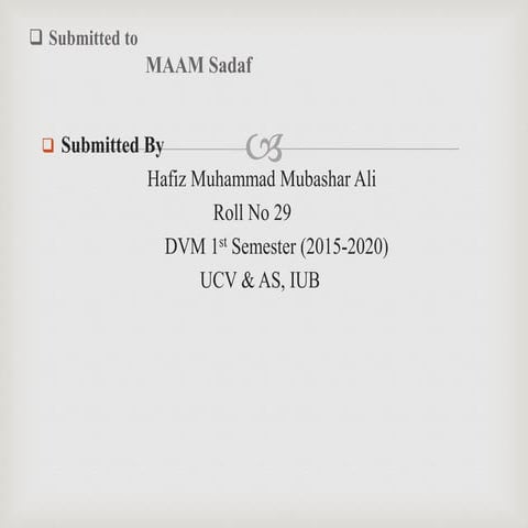 Jane Austen as a Novelist