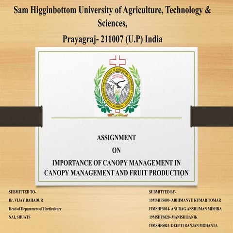 IMPORTANCE OF ROOTSTOCK IN CANOPY MANAGEMENT AND FRUIT PRODUCTION