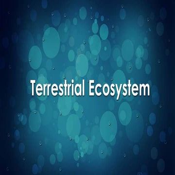 A brief presentation on Terrestrial Ecosystem