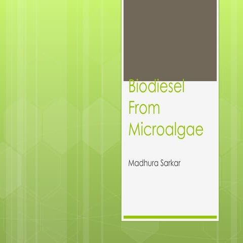 Group1_Algae_and_Biodiesel.presentationppt