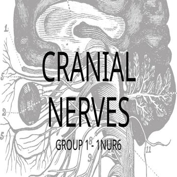 GROUP 1 CRANIAL NERVES.pptx -- nursing notes