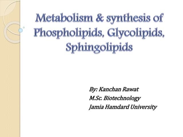 Lipids