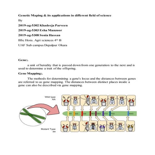 Genetic Mapping & its applications in different field of science