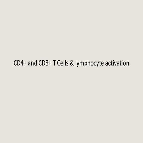 Comprehensive Overview of Lymphocyte Activation Mechanisms in ...