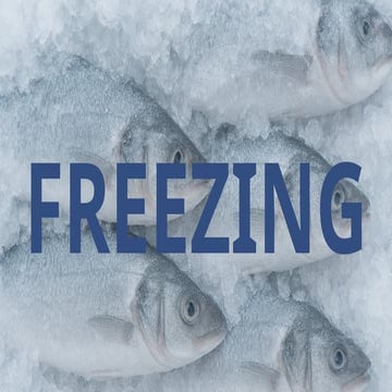 Methods of freeezing | PPTX