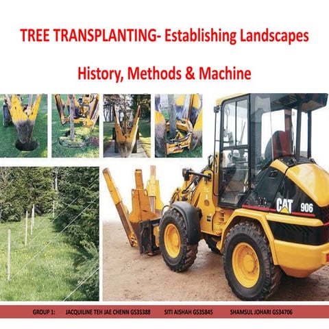 Tree Transplanting