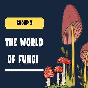 FUNGI, DEFINITION, BACKGROUND AND RELATION