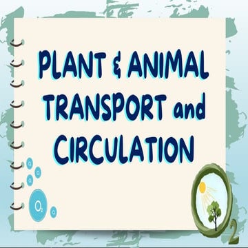 G11 STEM PLANT AND ANIMAL TRANSPORT AND CIRCULATION